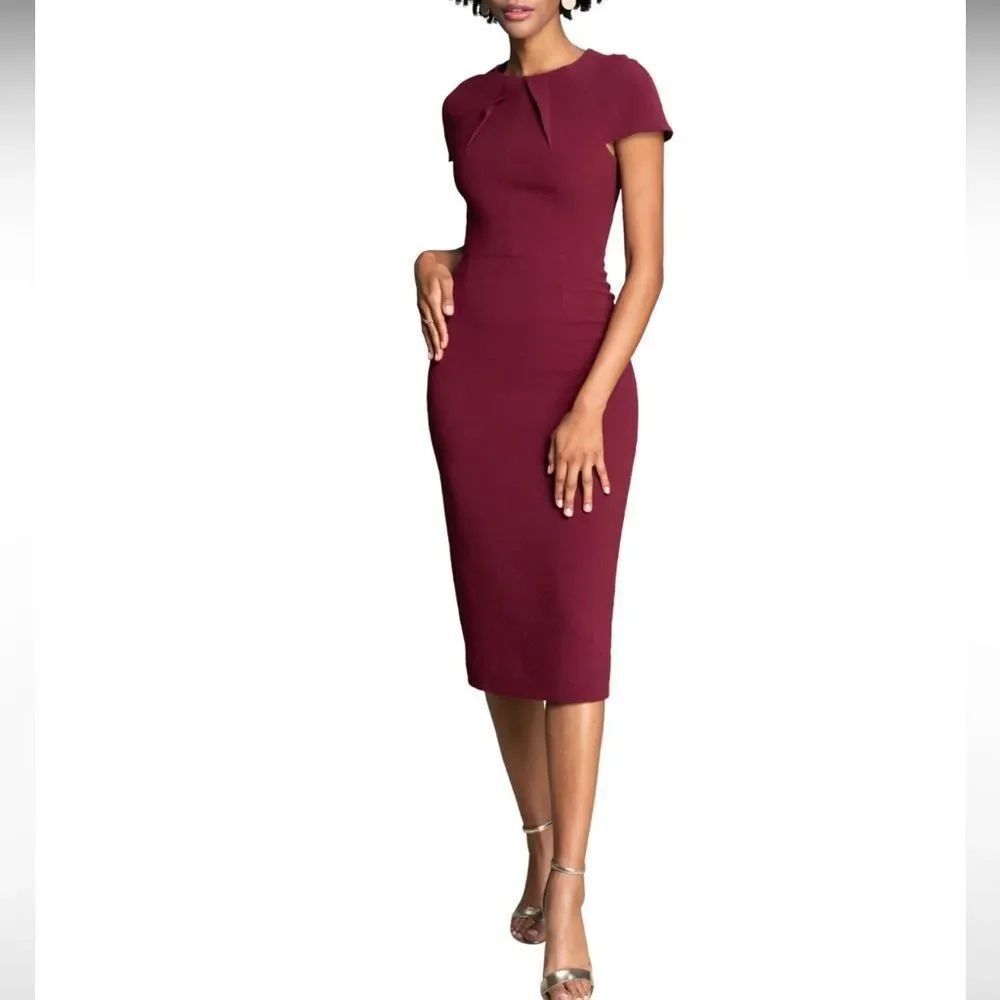 NWOTs Dress the Population Lainey Bodycon Dress